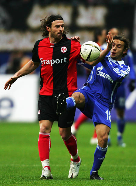 这位来自金 这位来自金